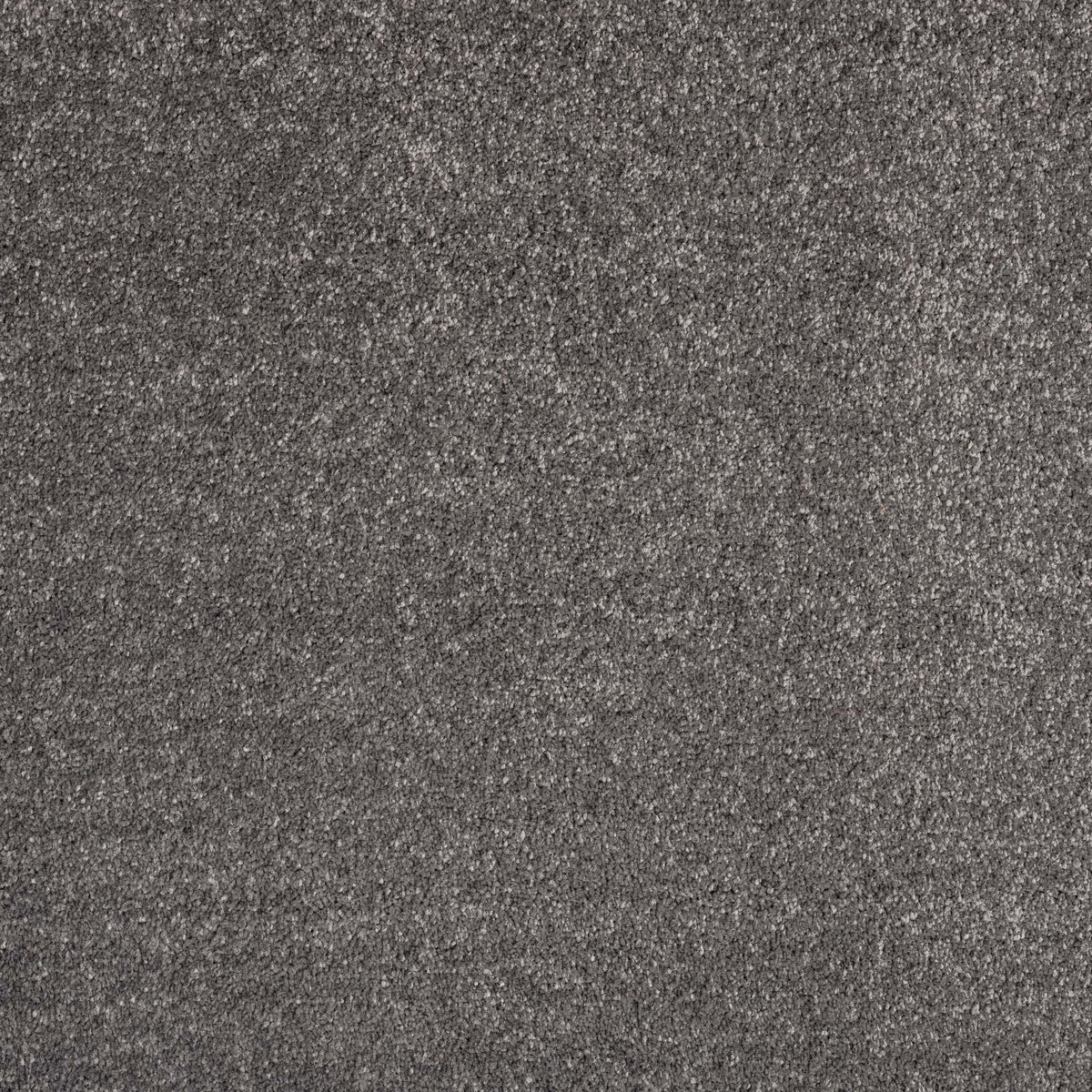 Olympia 1000 Dk Grey