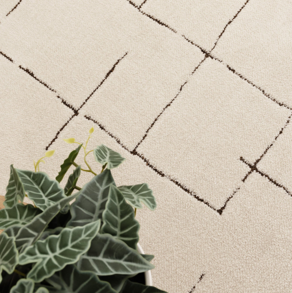 Nila Abstract Lines Brown Cream Rug - MIL10: New Arrival