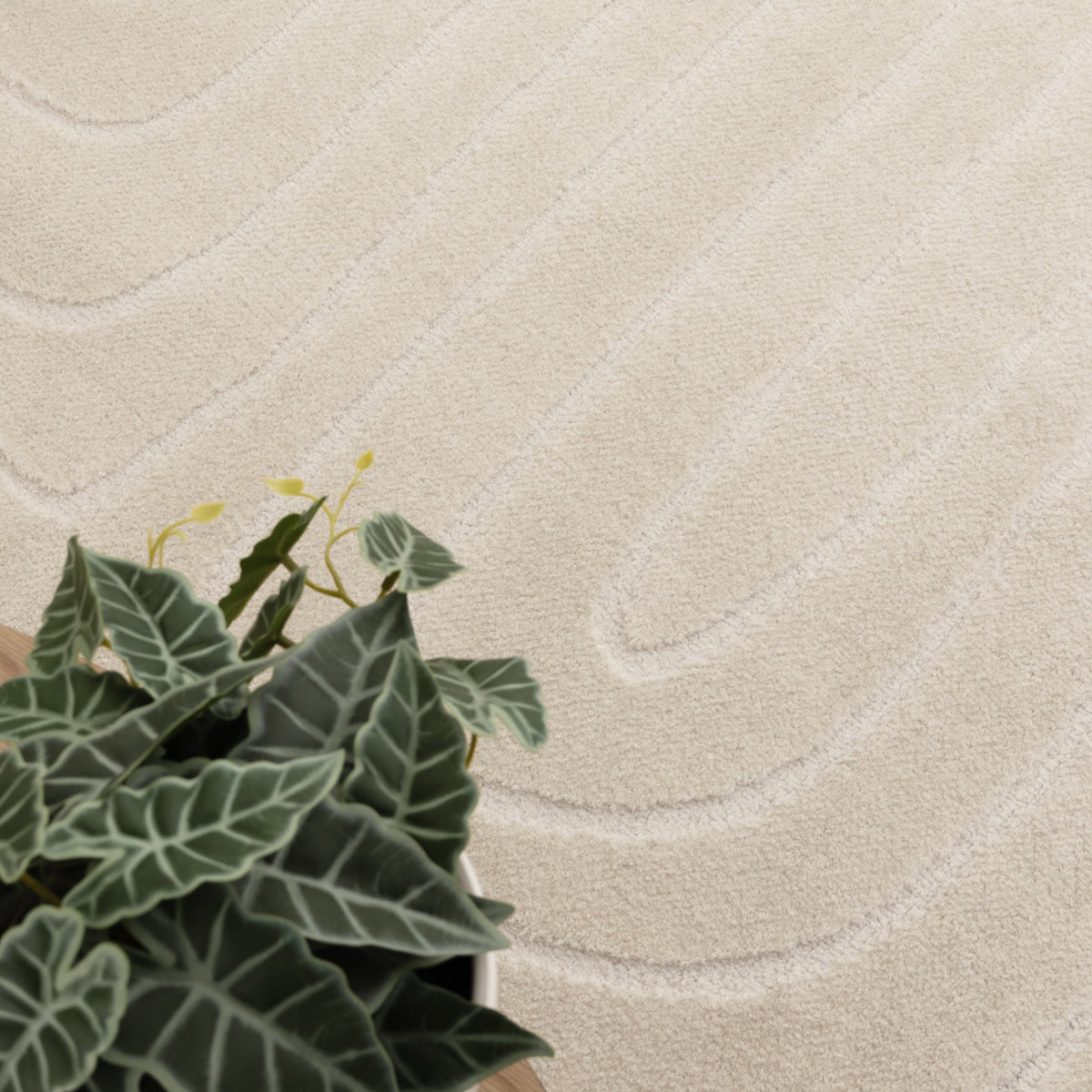Nila Arch Lines Cream Rug - MIL7: New Arrival