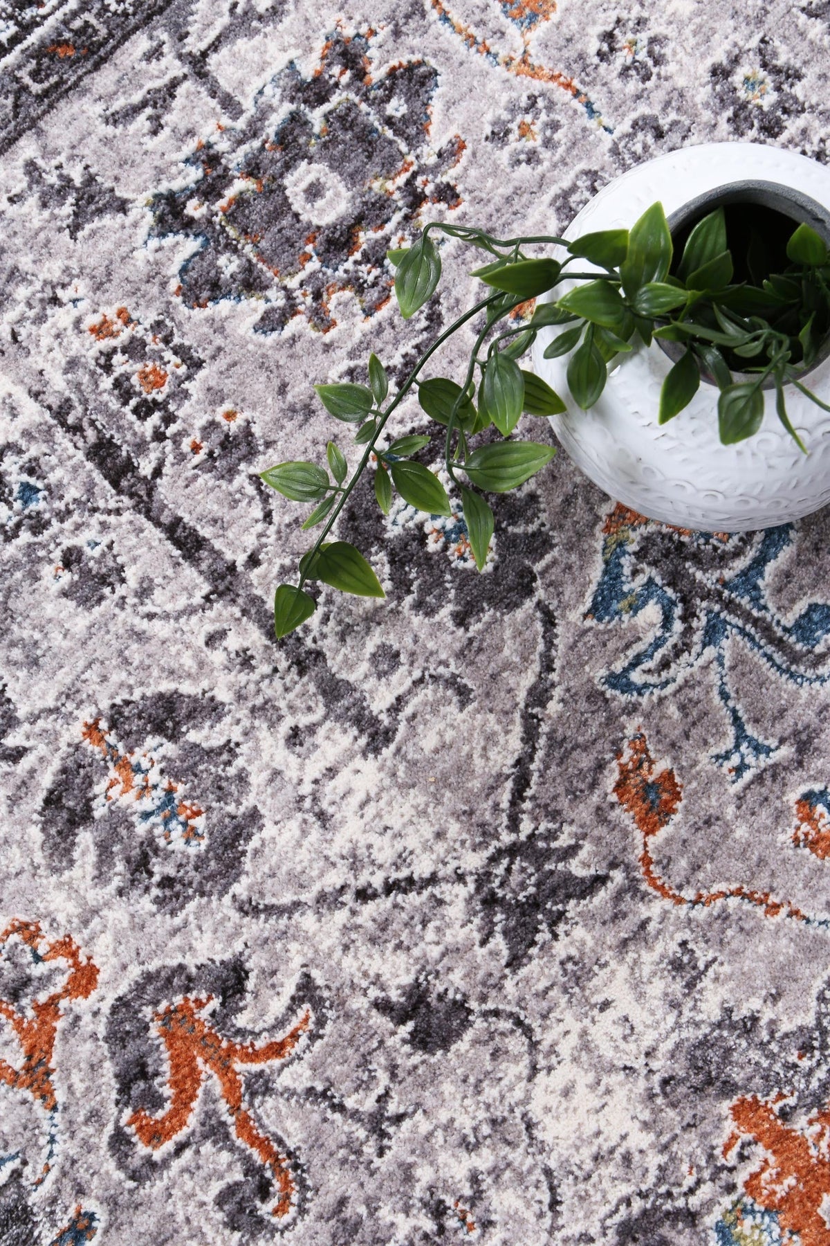 Almira Border Floral Traditional Grey Multi Rug