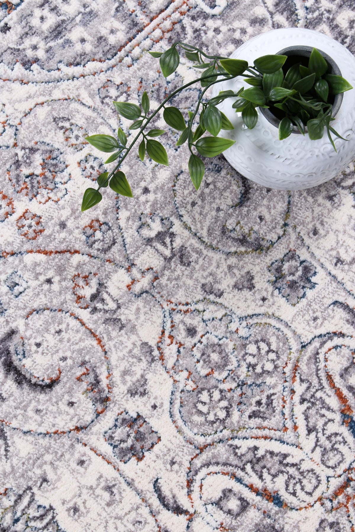 Almira Traditional Medallion Grey Multi Rug