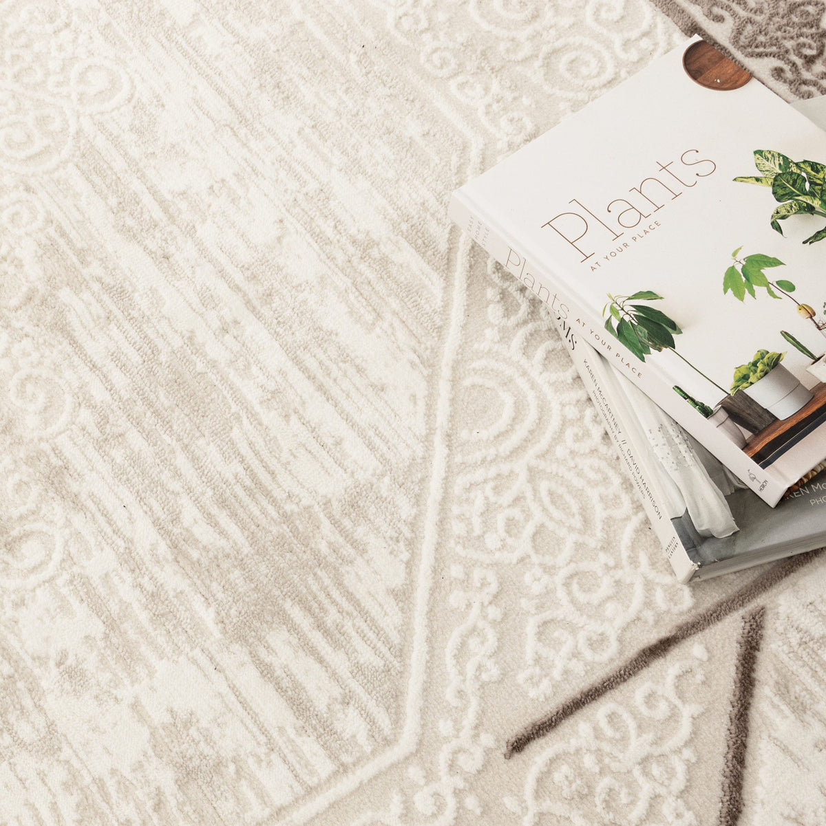 Positano Oriental Border Medallion Cream Brown Rug - AMAL08