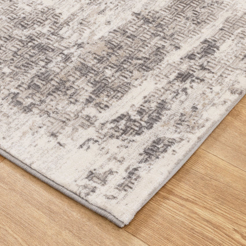 Adina Distressed Border Beige Grey Rug - AT04