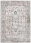Atina Distressed Transitional Beige Grey Rug - AT05