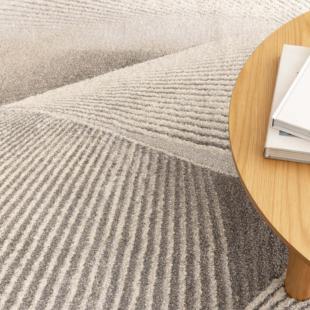 Dorado Abstract Contour Grey Beige Rug