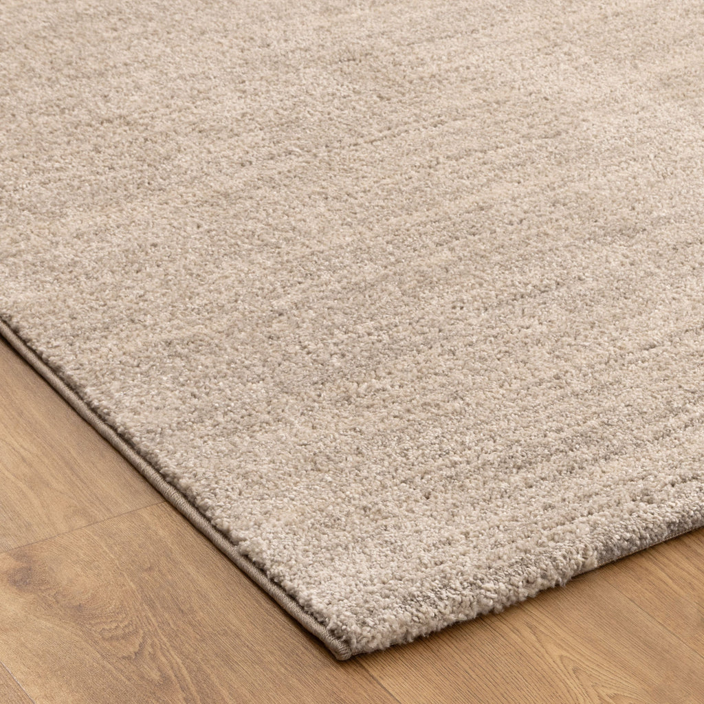 Dorado Minimalist Tonal Beige Rug
