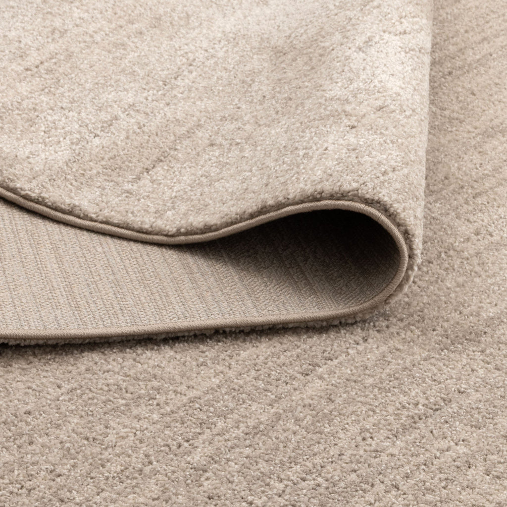 Dorado Minimalist Tonal Beige Rug