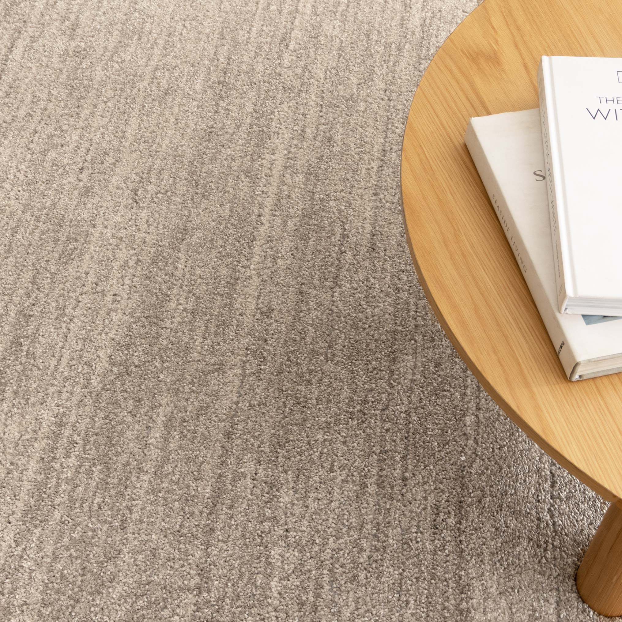 Dorado Minimalist Tonal Beige Rug