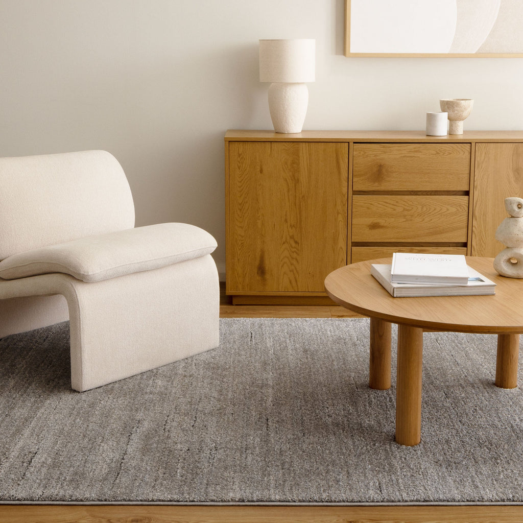 Dorado Minimalist Tonal Grey Rug