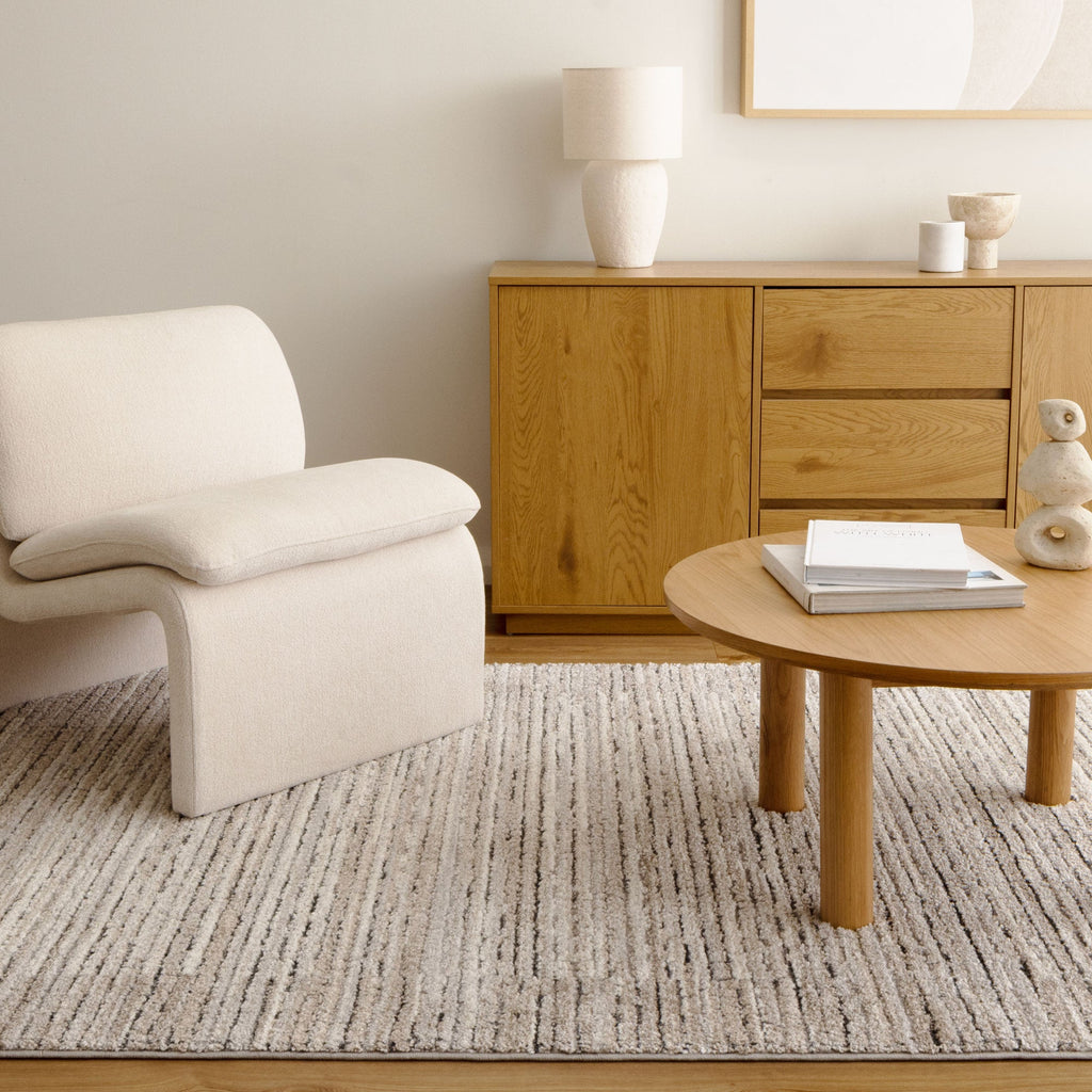 Dorado Textured Look Border Grey Beige Rug