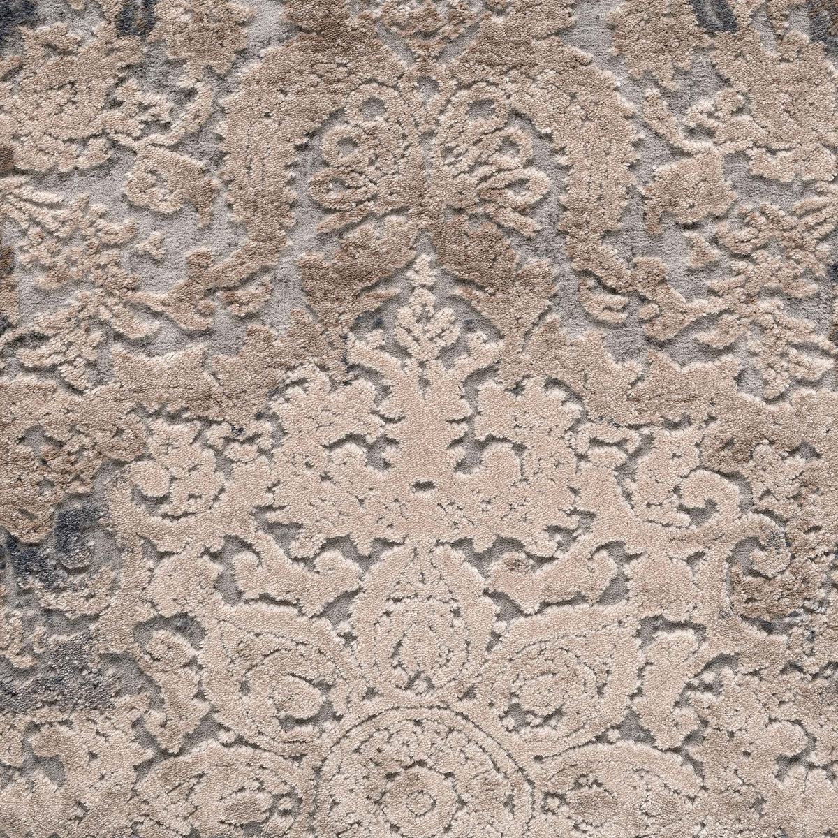 Covet 463 Grey