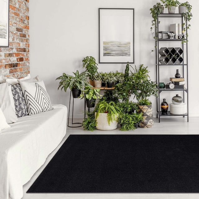 Olympia 1000 Black