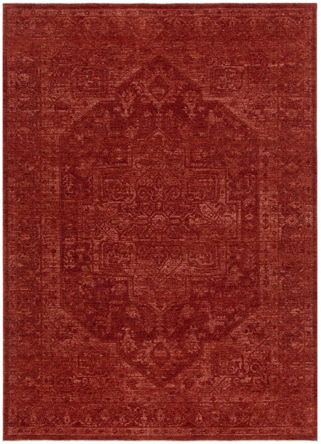 Ancestry Distressed Medallion Rust Rug - H101