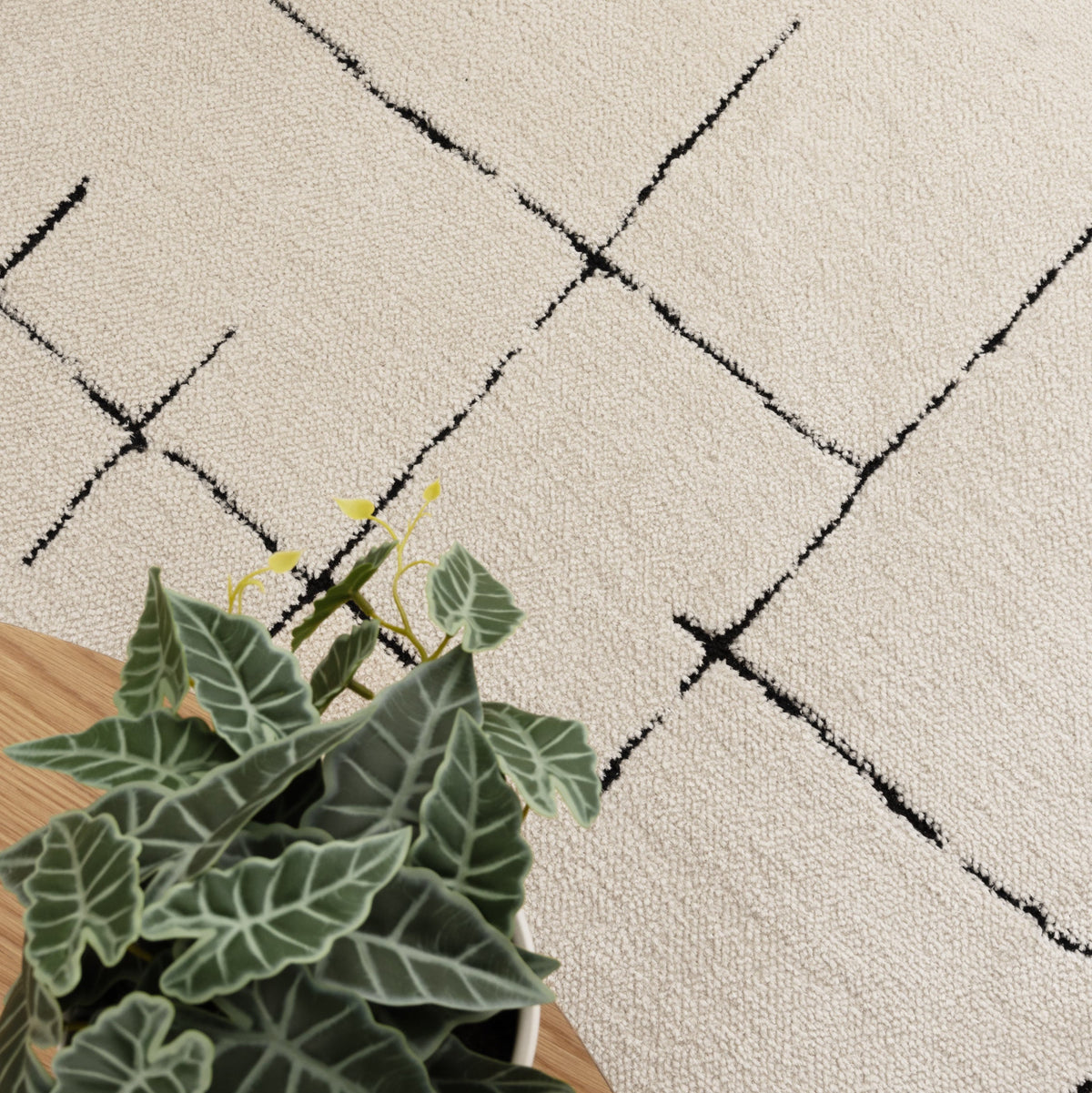 Nila Abstract Lines Black Cream Rug - MIL9: New Arrival
