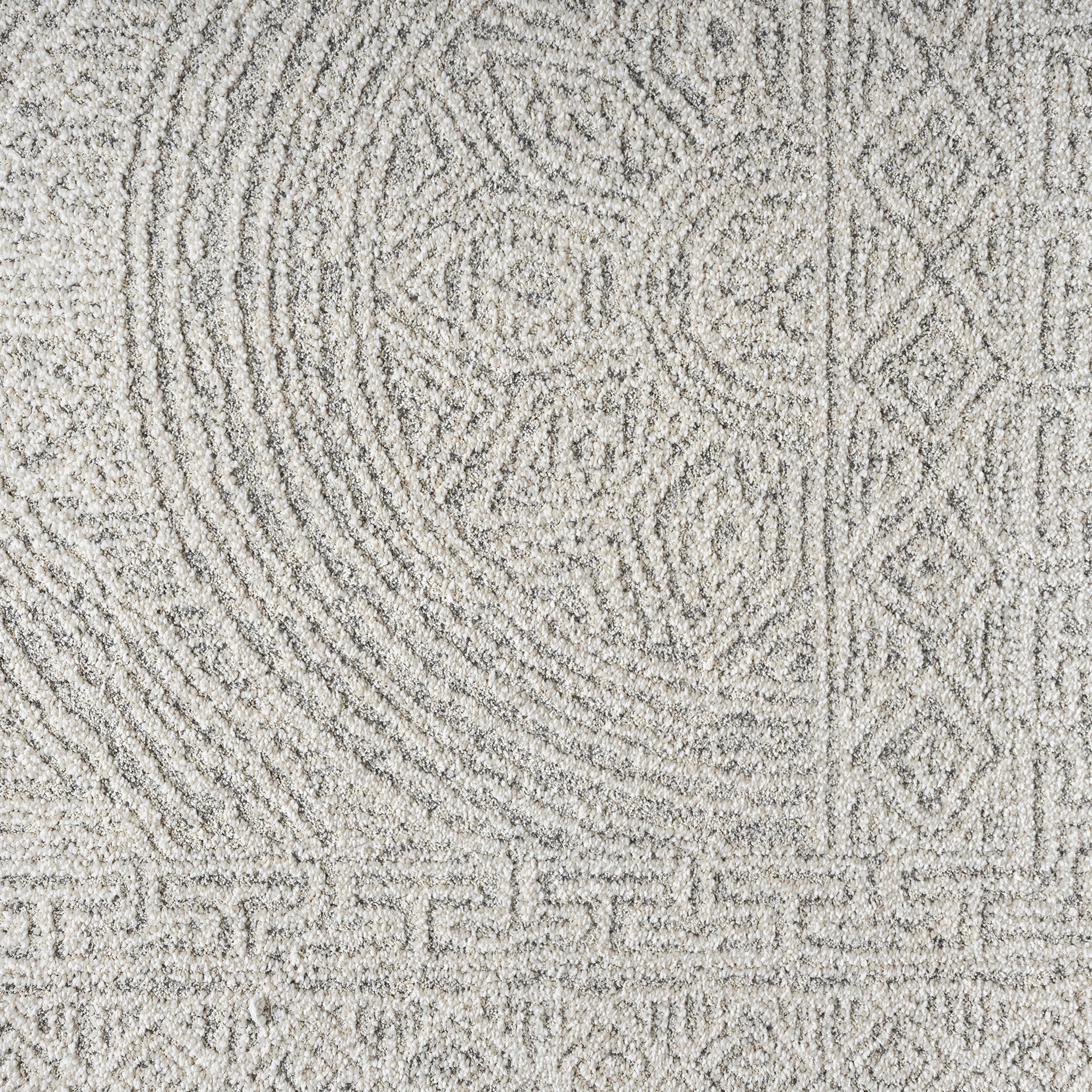 Nature 493 Stone Runner