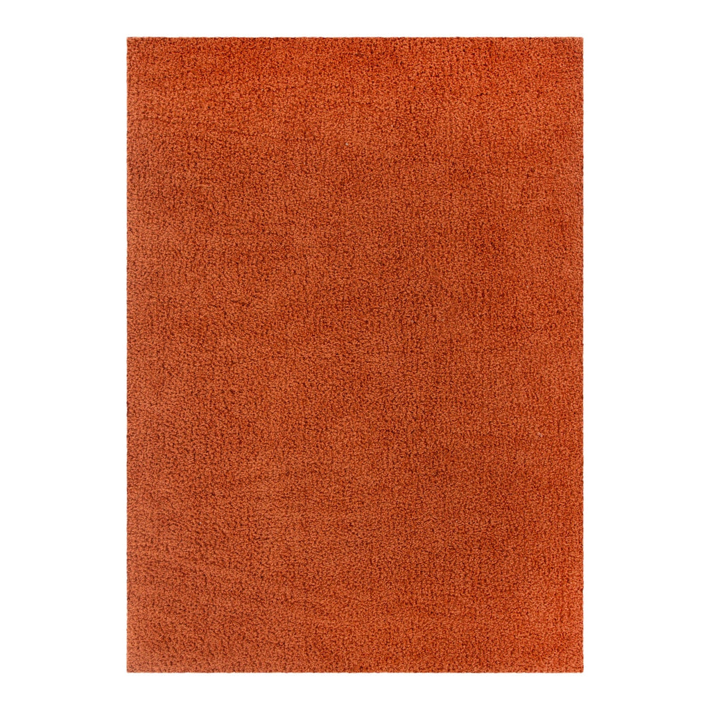 Lune Shaggy Terracotta Rug
