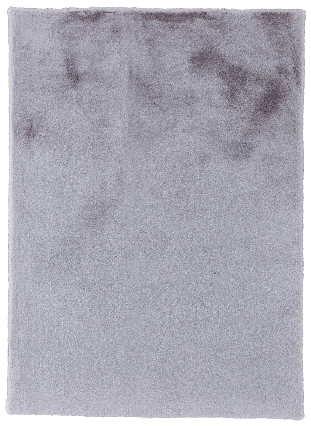 foal-gris