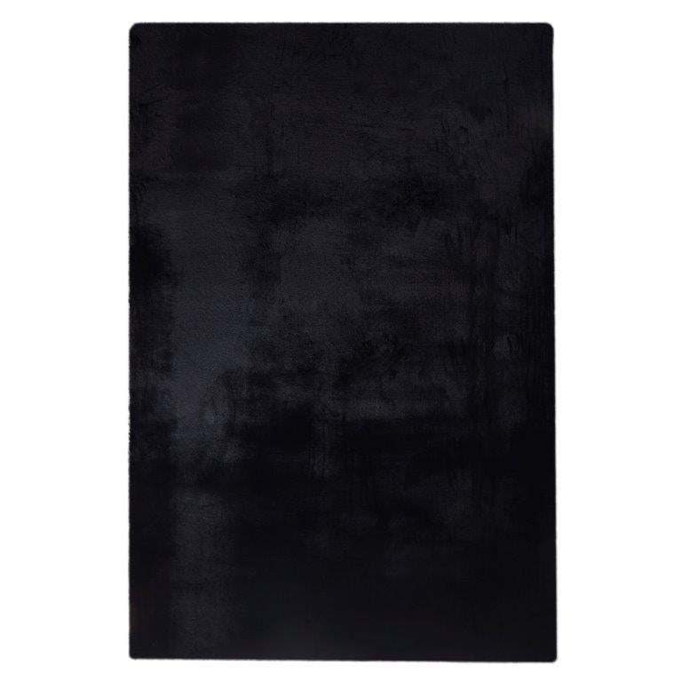 foal-black
