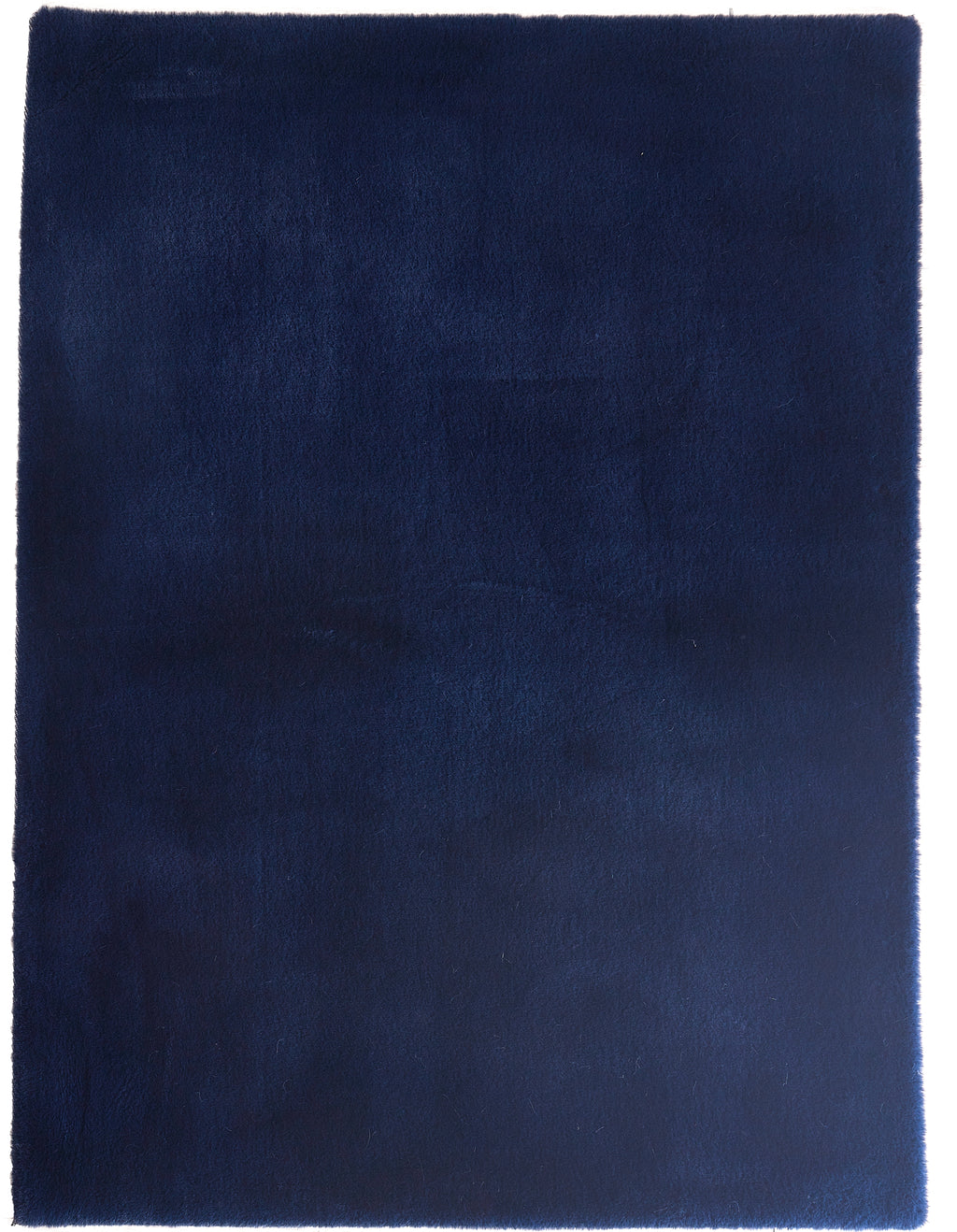 foal-navy