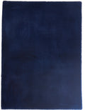 foal-navy