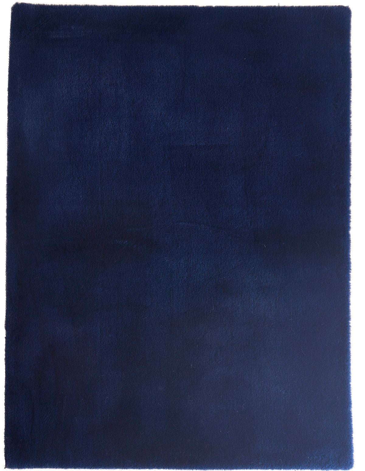 foal-navy