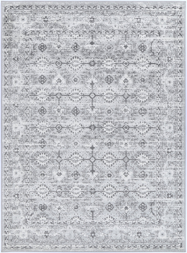 Avignon Montpellier Grey Traditional Rug - PROV09