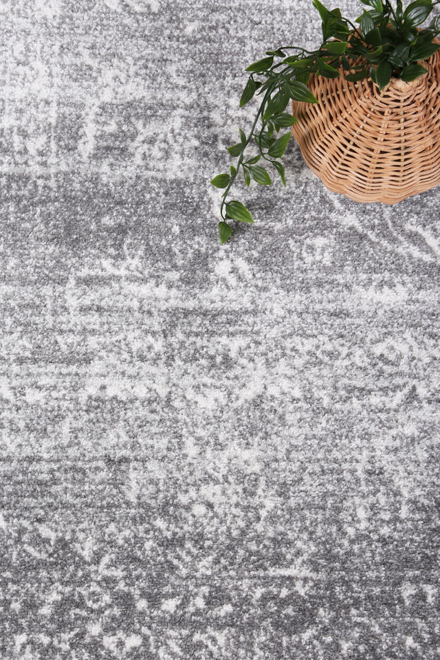Avignon Avignon Grey Traditional Rug - PROV15